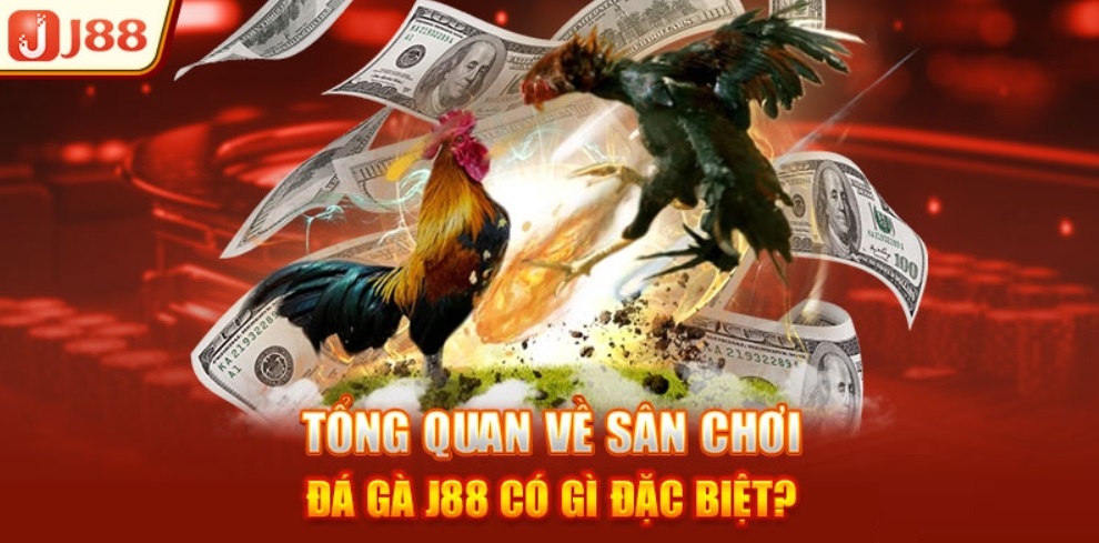 Tổng quan về đá gà J88